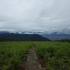 昼頃に雨が小康状態になったローズ畑