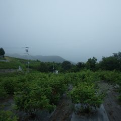 途端に再び雨が降り始めました