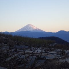 夕日が沈ずむまで作業は続けられました