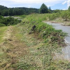 農場の通路の草刈り作業の続きをしました
