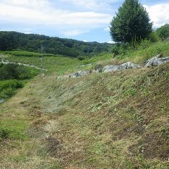 通路脇の土手も綺麗に刈り取りました