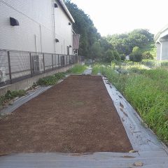 事務局横の除草作業は順調に進んでいます