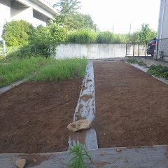 事務局横の除草作業もここまで進みました