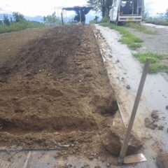 石を掘り出したら作業再開