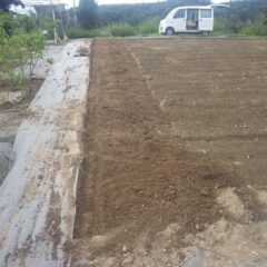 カモマイル・ジャーマン畑は種蒔き前に雨で土が流されない様に排水溝を掘ります