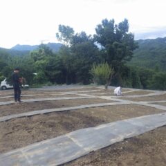 畑の周囲に排水溝を掘り終わったら通路の防草シートを張ります