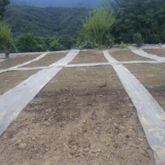 防草シーが張り終わり種蒔き準備完了