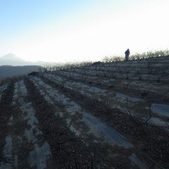 日が落ち始めると一気に冷え込みが厳しくなります