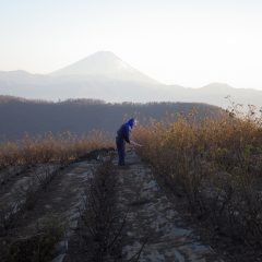 日没まで剪定作業は続けられました