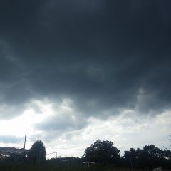 作業が終わる頃、また雷雲が立ち込めて来ました