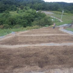 最後の畑に種を蒔いて作業終了、後は恵みの雨が降ってくれる事を願います（但し、種を流してしまうような大雨はご勘弁願います）