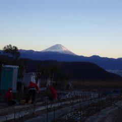 今年最後の夕暮れとなりました