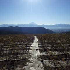 2018年幕開けは雲一つ無い快晴の冬空に富士山が聳えていました