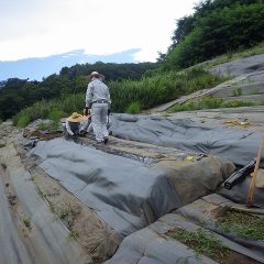 蒸留は一段落、梅雨の晴れ間を利用して畑の改良作業中です