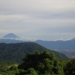 草刈り作業を終えると富士山が姿を現していました