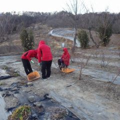 厳寒の中で黙々と作業を続けています