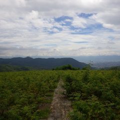 つかの間の青空