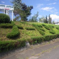 事務局入り口のローズマリーの生垣文字