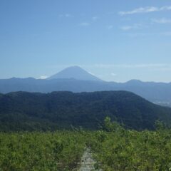 昨日、富士山が今年の初冠雪を観測しました