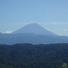 初冠雪