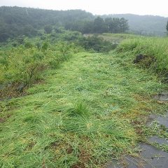 雨が上がってくれるのを願いつつ作業開始！