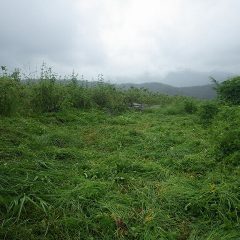 願いとは裏腹に雲行きはどんどん怪しくなっていきます