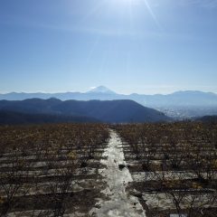 全国的に寒波襲来、この冬一番の寒さとなりました