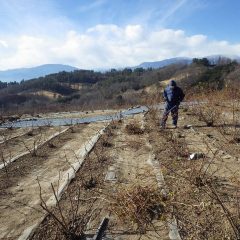 黙々と作業を続けています