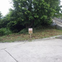 綺麗になった農場の入り口周辺